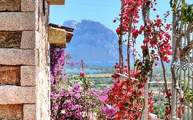 Suite Suliana
